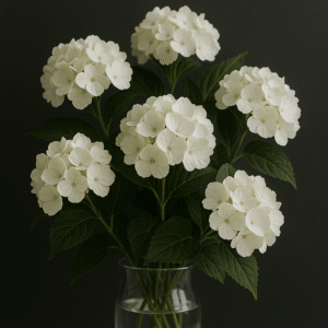Buquê de Hortênsia Branca