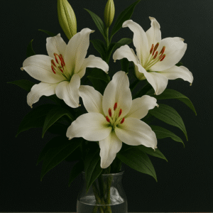 Buquê de Lírio Oriental Branco